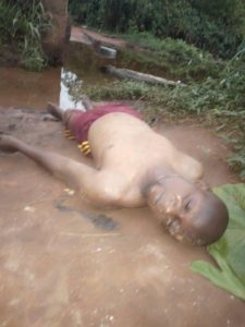 ilaro (2)