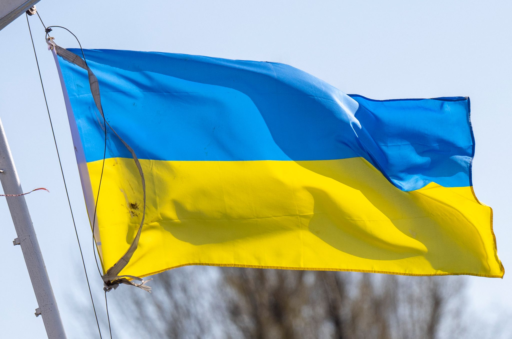 Ukrainian Flag