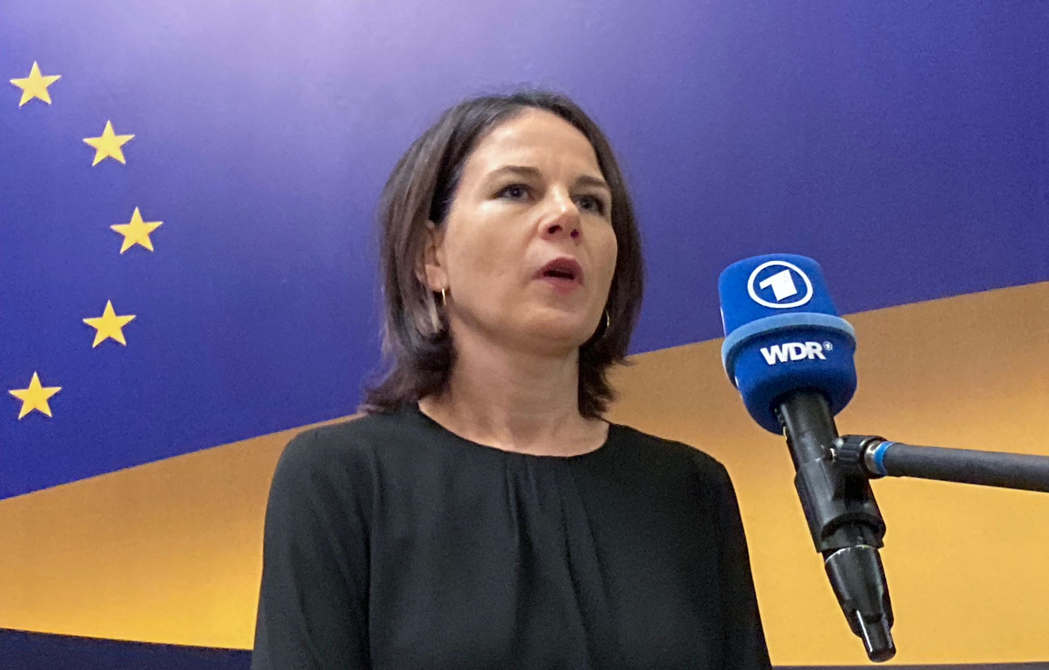 German minister calls for 'protective shield' for Ukraine