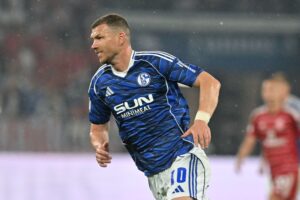 Edin Dzeko