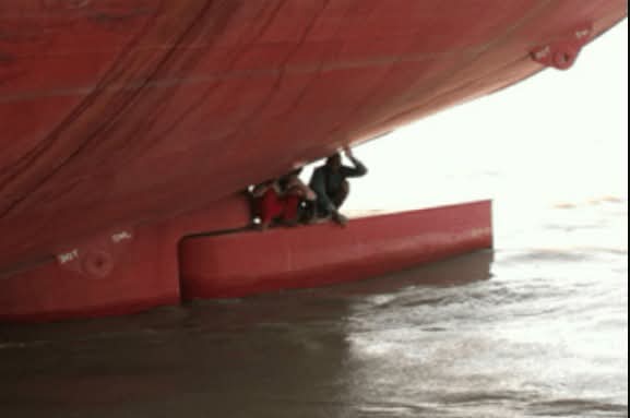 599b6486-d5d4-4ad5-9556-6a216e55fe85