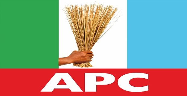 APC LOGO2